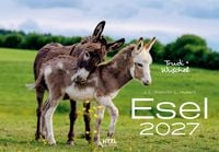 Produktbild: Esel Kalender 2027
