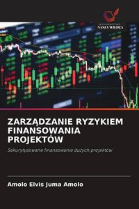 Produktbild: Zarz&iquest;dzanie Ryzykiem Finansowania Projekt&oacute;w