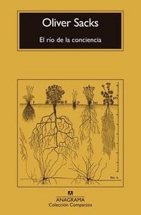 Produktbild: R&iacute;o de la Conciencia, El