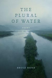 Produktbild: The Plural of Water
