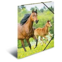 Produktbild: HERMA Sammelmappe Pferd aus PP DIN A3