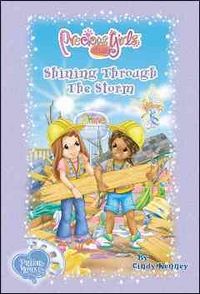 Produktbild: Shining Through the Storm