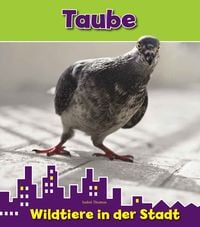 Produktbild: Taube