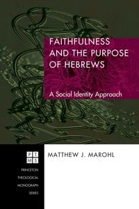 Produktbild: Faithfulness and the Purpose of Hebrews