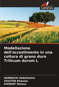 Produktbild: Modellazione dell'accestimento in una coltura di grano duro Triticum durum L