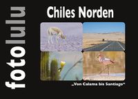 Bild vom Artikel Chiles Norden vom Autor Sr. fotolulu