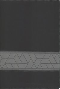 Produktbild: Niv Storyline Bible Leathersof