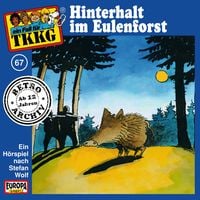 Produktbild: TKKG - Folge 67: Hinterhalt im Eulenforst