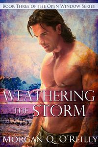 Produktbild: Weathering the Storm