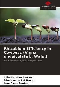 Produktbild: Rhizobium Efficiency in Cowpeas (Vigna unguiculata L. Walp.)