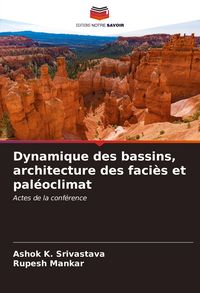 Produktbild: Dynamique des bassins, architecture des faci&egrave;s et pal&eacute;oclimat