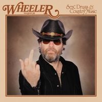 Produktbild: Sex,Drugs & Country Music
