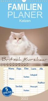 Produktbild: Die Britisch Kurzhaar Katze - Familienplaner hoch (Wandkalender 2022 , 21 cm x 45 cm, hoch)
