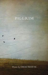 Produktbild: Pilgrim (revised) (revised) Re