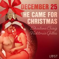 Bild vom Artikel December 25: He Came for Christmas - An Erotic Christmas Calendar vom Autor Vicktoria Gilles