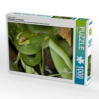 Produktbild: CALVENDO Puzzle Spitzkopfnatter | 1000 Teile Lege-Gr&ouml;&szlig;e 64x48cm Foto-Puzzle f&uuml;r gl&uuml;ckliche Stunden