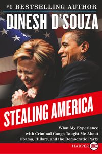 Produktbild: Stealing America