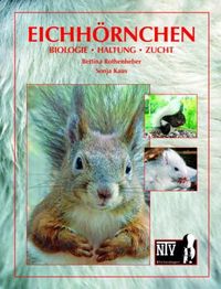 Bild vom Artikel Eichhörnchen vom Autor Bettina Rothenheber