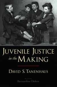 Produktbild: Juvenile Justice in the Making