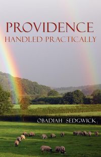 Produktbild: Providence Handled Practically