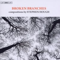 Produktbild: Broken Branches-Kammermusik