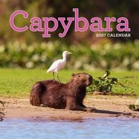 Produktbild: Capybara Wall Calendar 2027