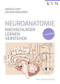 Produktbild: Neuroanatomie