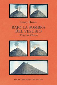 Produktbild: Bajo la sombra del Vesubio