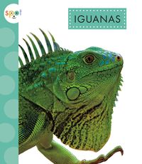 Produktbild: Iguanas