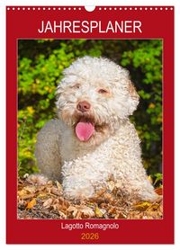 Produktbild: Jahresplaner Lagotto Romagnolo (Wandkalender 2026 DIN A3 hoch), CALVENDO Monatskalender