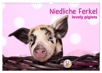 Produktbild: Niedliche Ferkel lovely piglets (Wandkalender 2027 DIN A3 quer), CALVENDO Monatskalender