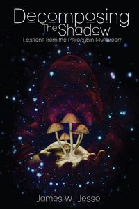 Produktbild: Decomposing The Shadow