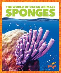 Produktbild: Sponges