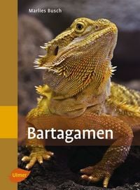 Produktbild: Bartagamen