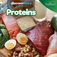 Produktbild: Proteins