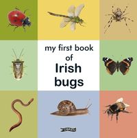 Produktbild: My First Book of Irish Bugs