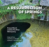 Produktbild: A Resurrection of Springs