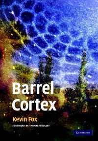 Produktbild: Barrel Cortex