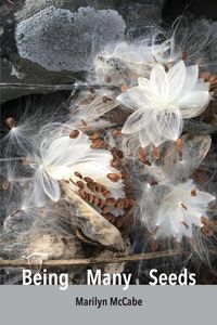 Produktbild: Being Many Seeds