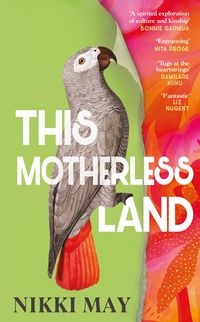 Produktbild: This Motherless Land