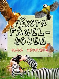 Produktbild: F&ouml;rsta f&aring;gelboken