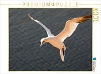 Produktbild: CALVENDO Puzzle Basst&ouml;lpel im Flug | 1000 Teile Lege-Gr&ouml;&szlig;e 64 &times; 48 cm Foto-Puzzle f&uuml;r gl&uuml;ckliche Stunden
