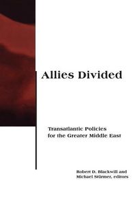 Produktbild: Allies Divided