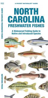 Produktbild: North Carolina Freshwater Fishes