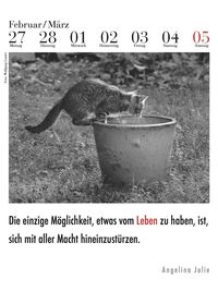 Bild vom Artikel Der literarische Katzenkalender 2024 vom Autor 