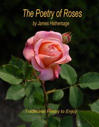 Produktbild: The Poetry of Roses
