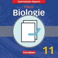 Bild vom Artikel Fokus Biologie 11. Jg. SB OS GY B vom Autor Axel Björn Brott