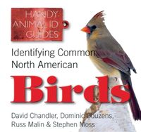 Produktbild: Malin, R: Identifying Common North American Birds
