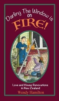 Produktbild: Darling the Window is on Fire