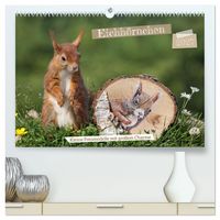 Produktbild: Eichh&ouml;rnchen - Kleine Fotomodelle mit gro&szlig;em Charme (hochwertiger Premium Wandkalender 2027 DIN A2 quer), Kunstdruck in Hochglanz